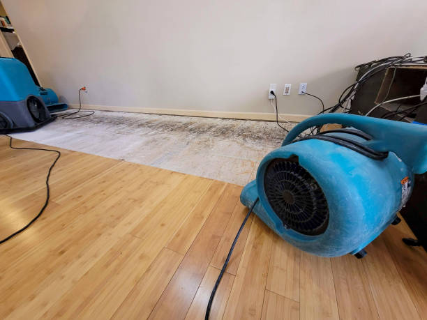 Professional Flood Damage Cleanup technician working in Speonk, NY